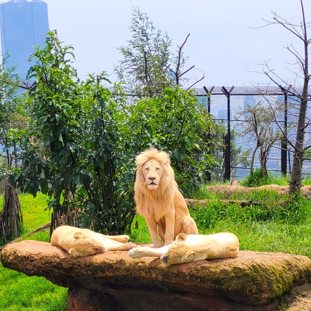 Meet your Posher, Flex